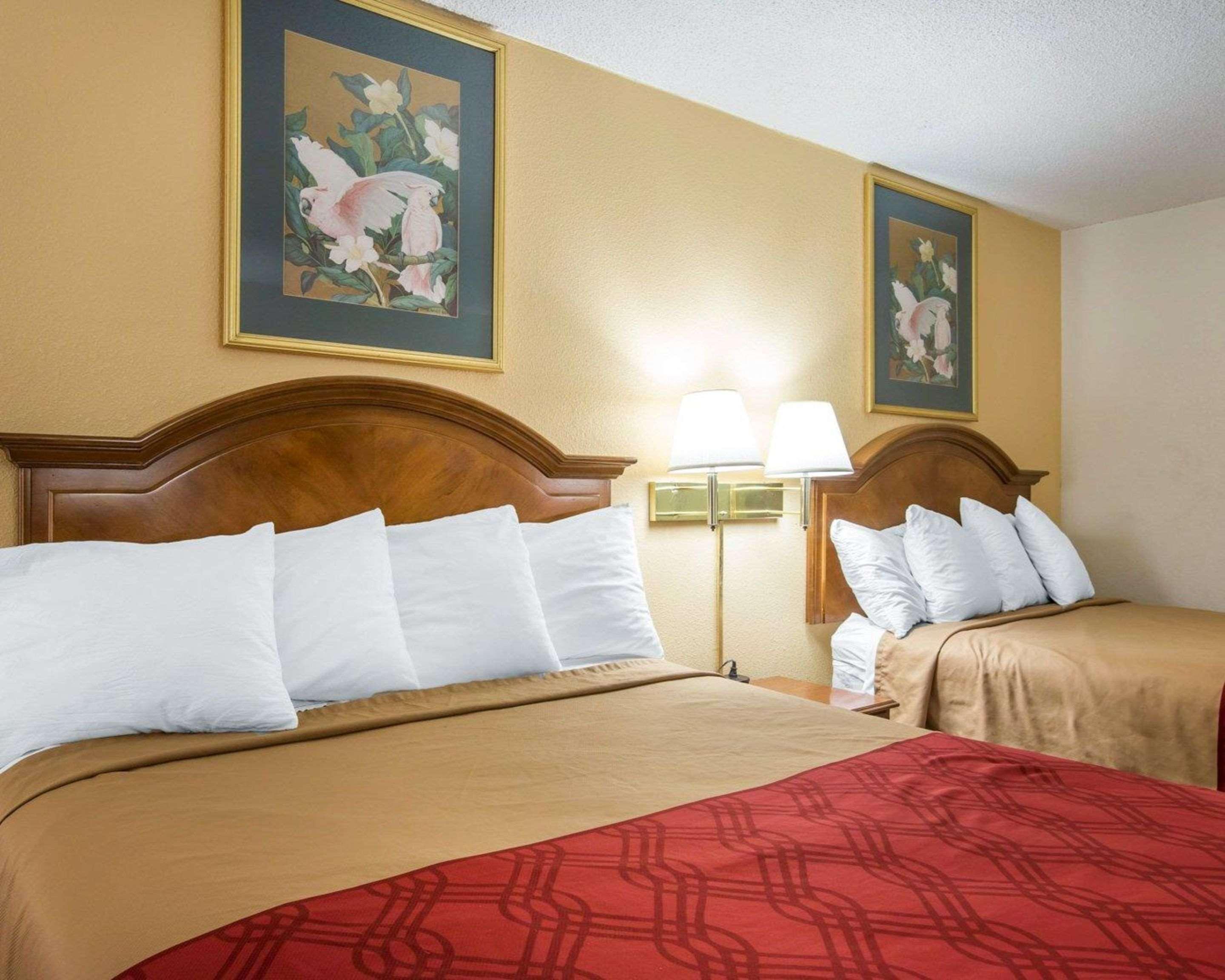 Econo Lodge Inn & Suites Macon Extérieur photo